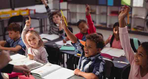 Our Research Elephant Learning