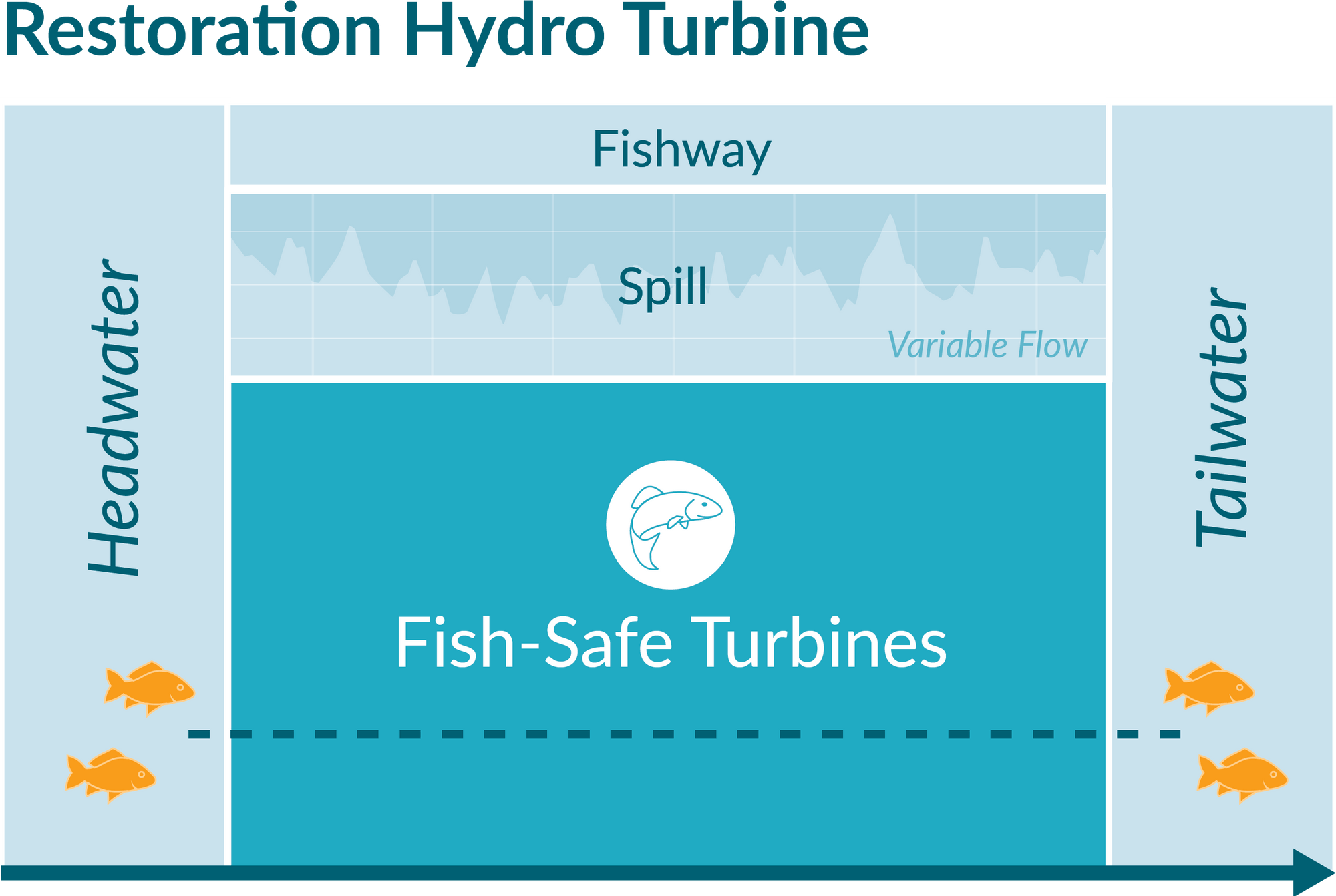 Natel Energy | Why Fish Passage Matters