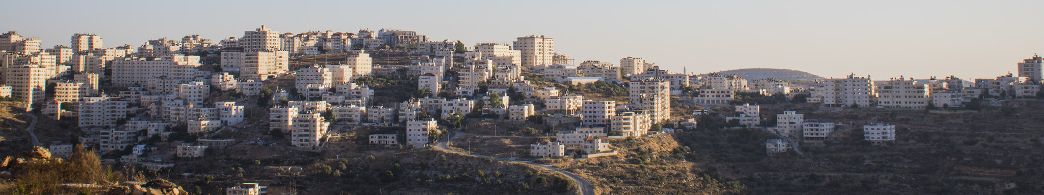 Guide to Hiring in Palestine with an Employer of Record | Remofirst