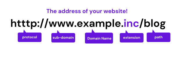 Mastering URLs: A Complete Guide to Website Address Structure