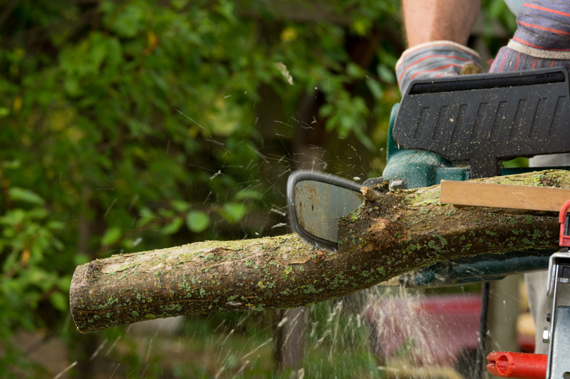 Professional Tauranga Gardeners Zones Landscaping