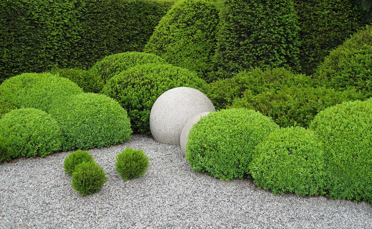 The art of topiary Article