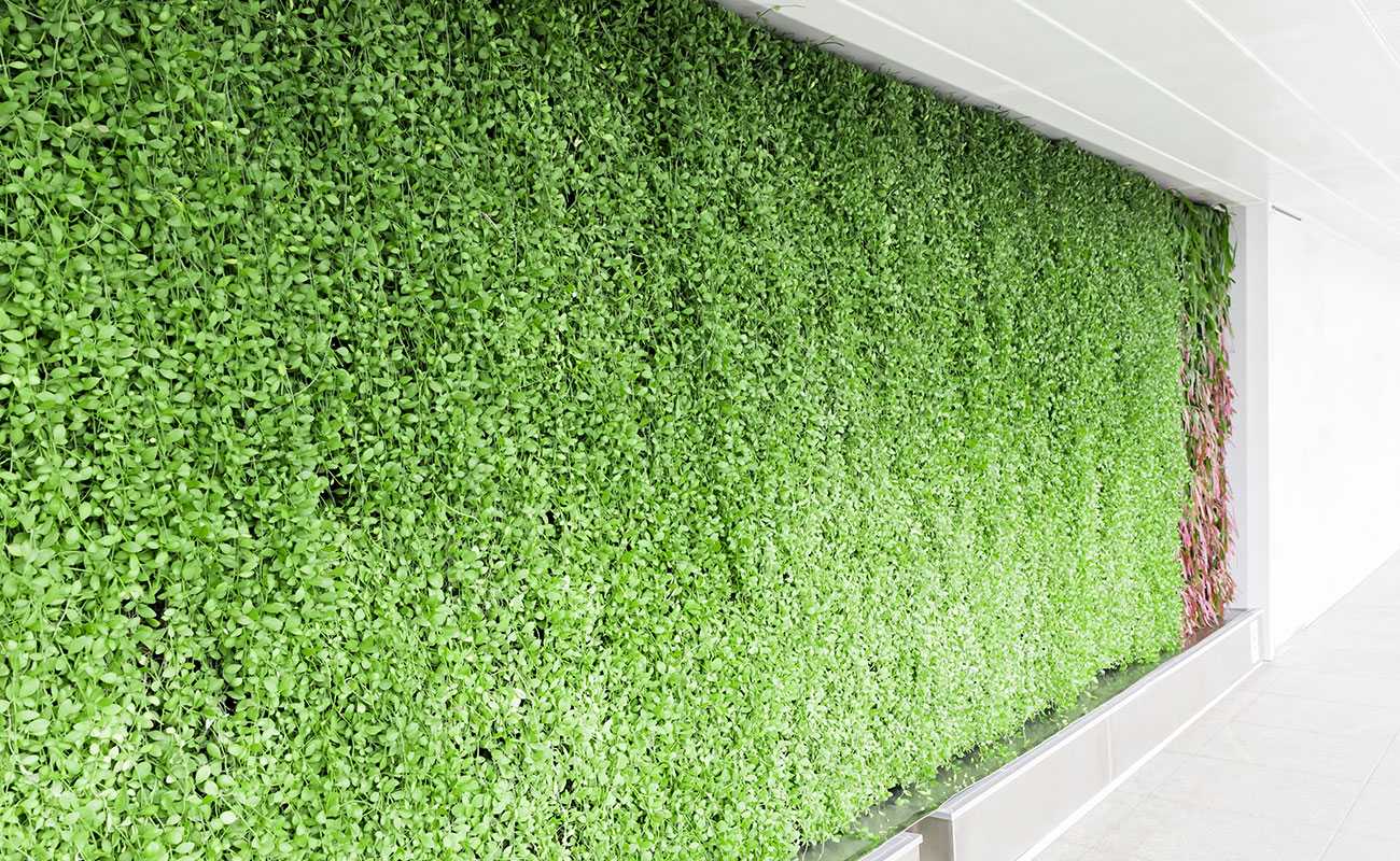 Living walls in corporate environment