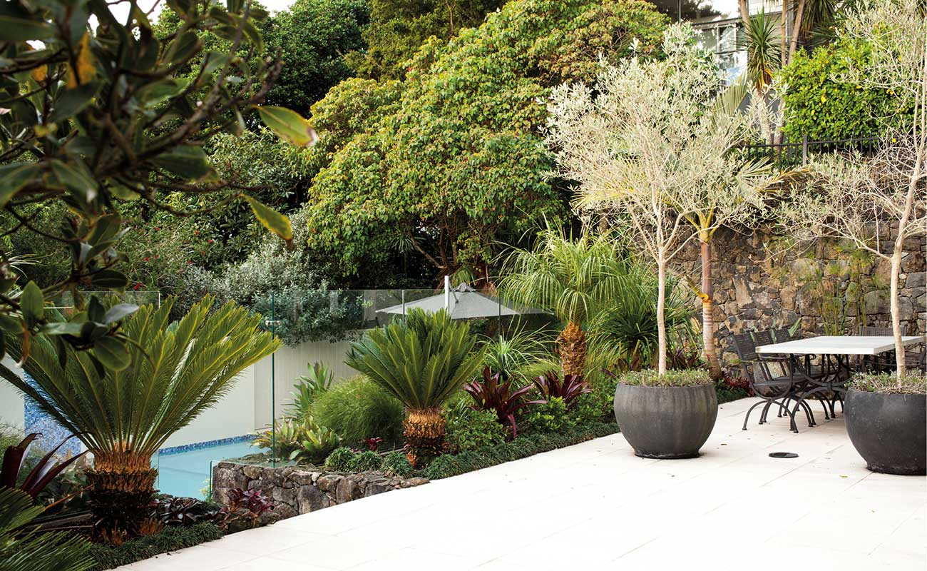 A backyard summer sanctuary | Project