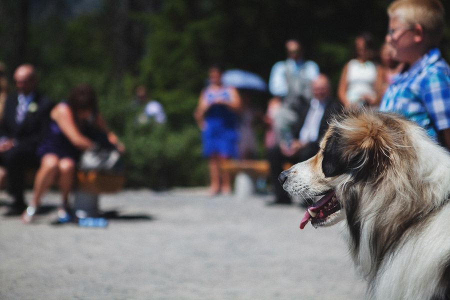 25. outdoor-weddings-alberta