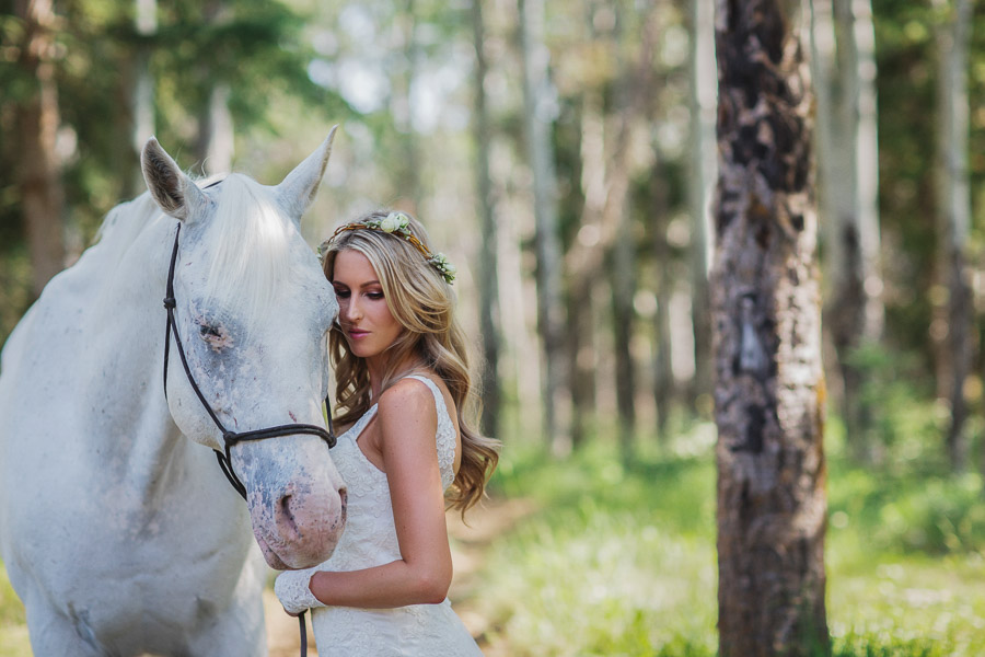 32. equestrian-photography