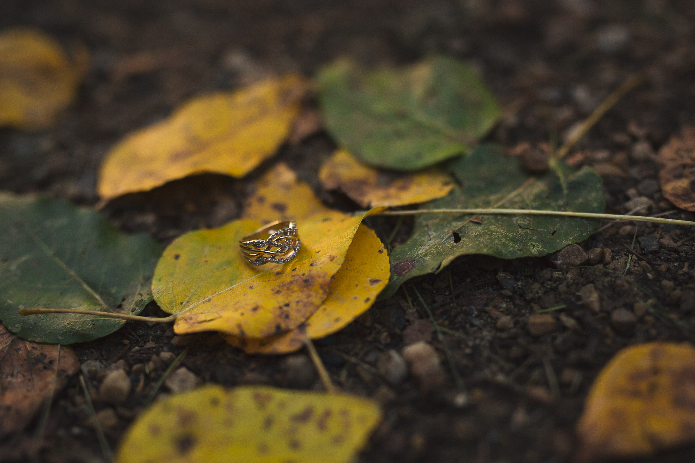 15. Wedding rings.jpg