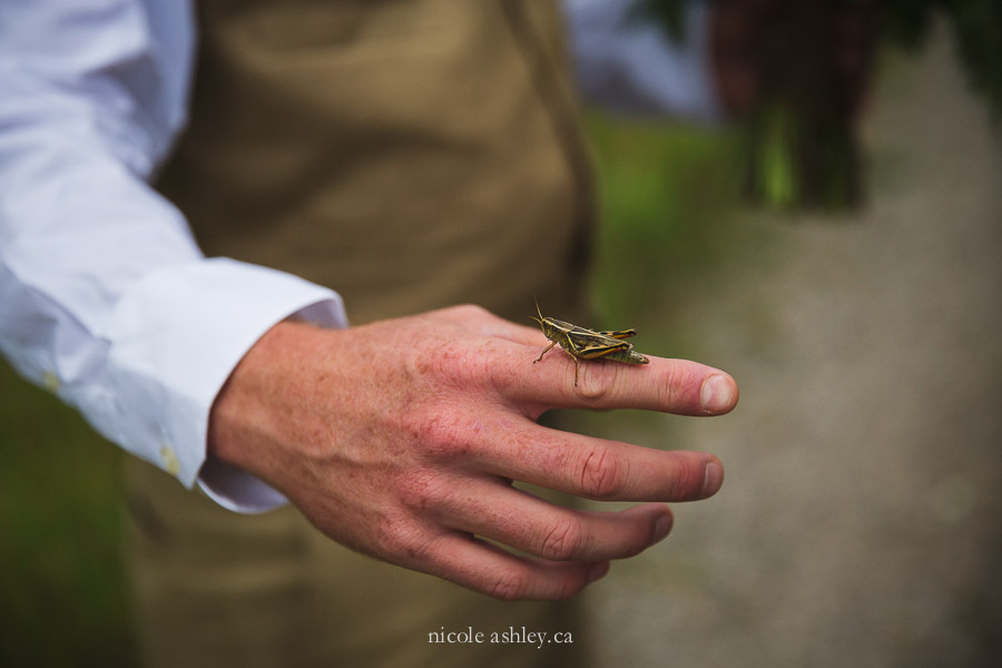 Nicole Ashley Destination Wedding Photographer Fernie