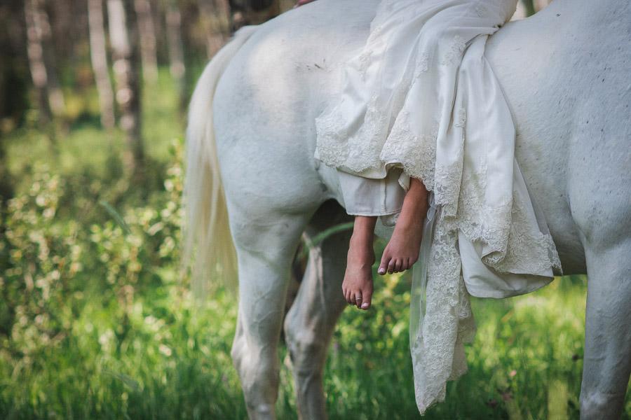 34. alberta-horse-photography