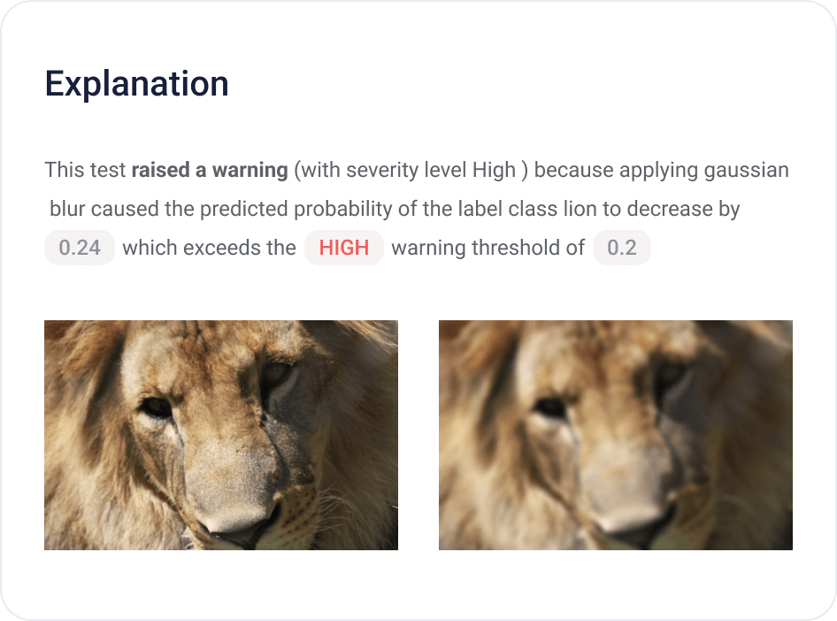 Explanation AI stress testing