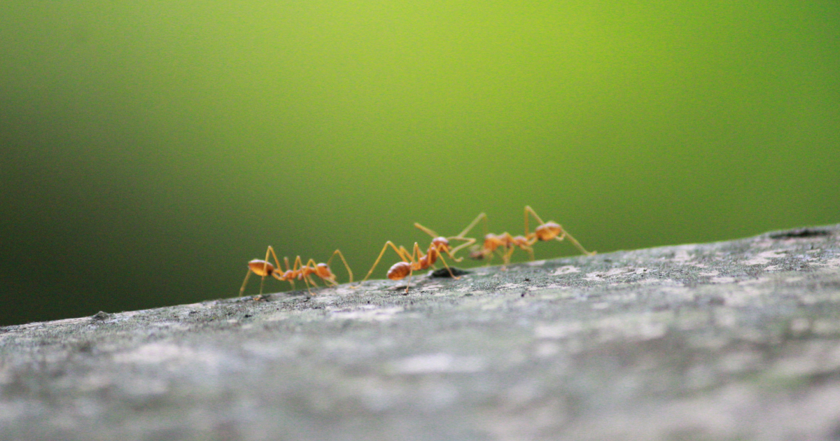 AI Failures — Eliminate Them, Now — Robust Intelligence