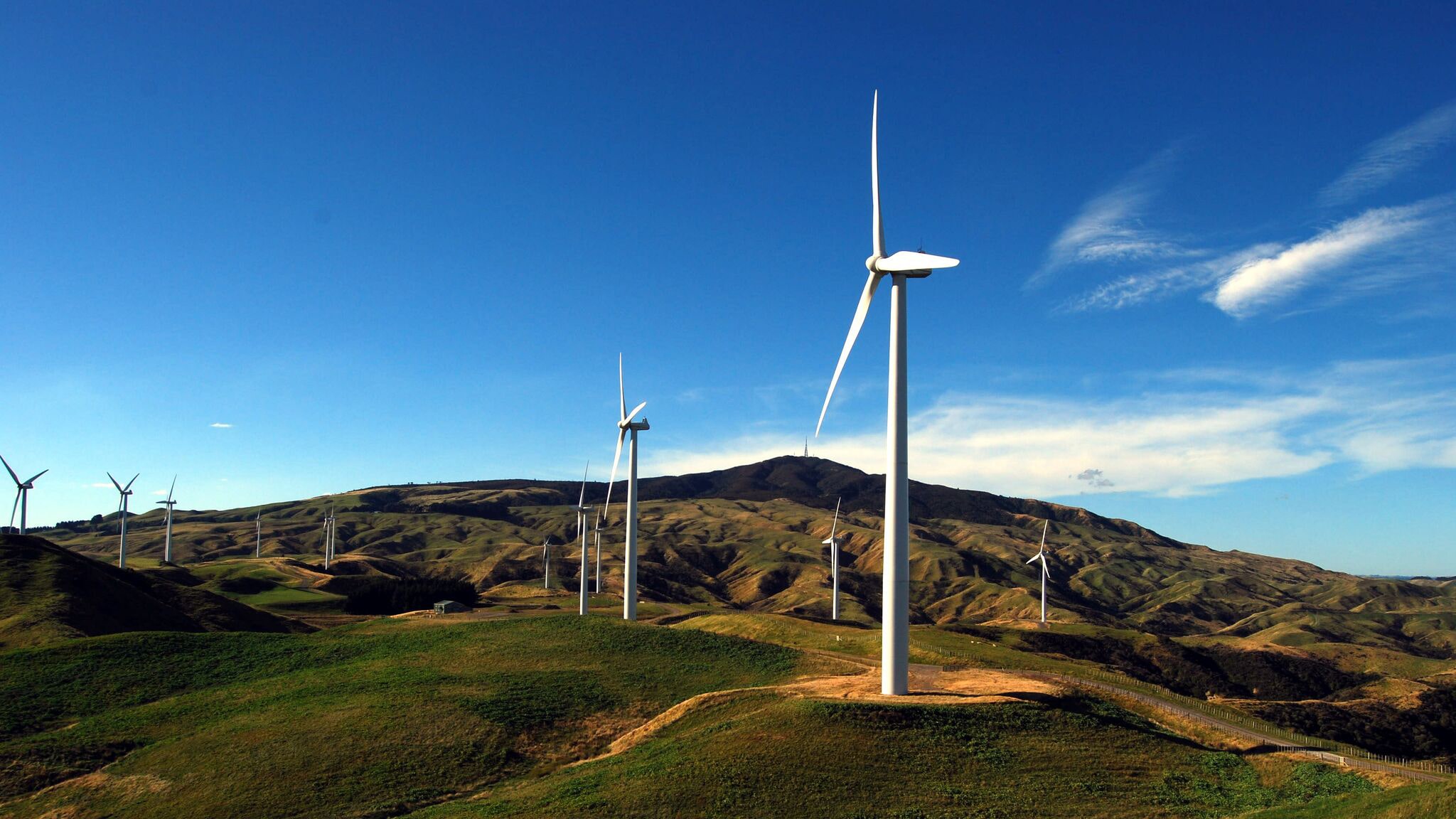 Palmerston North Building Inspection Experts CheckHome