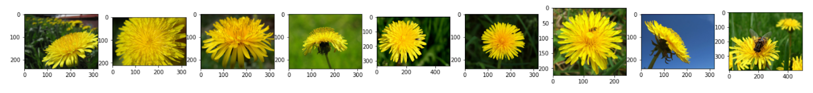 Unsupervised learning in Image Classification - Everything To Know