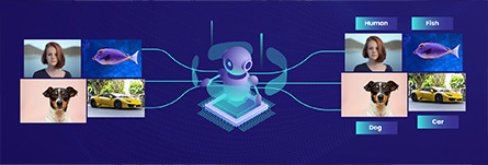 Unsupervised learning in Image Classification - Everything To Know