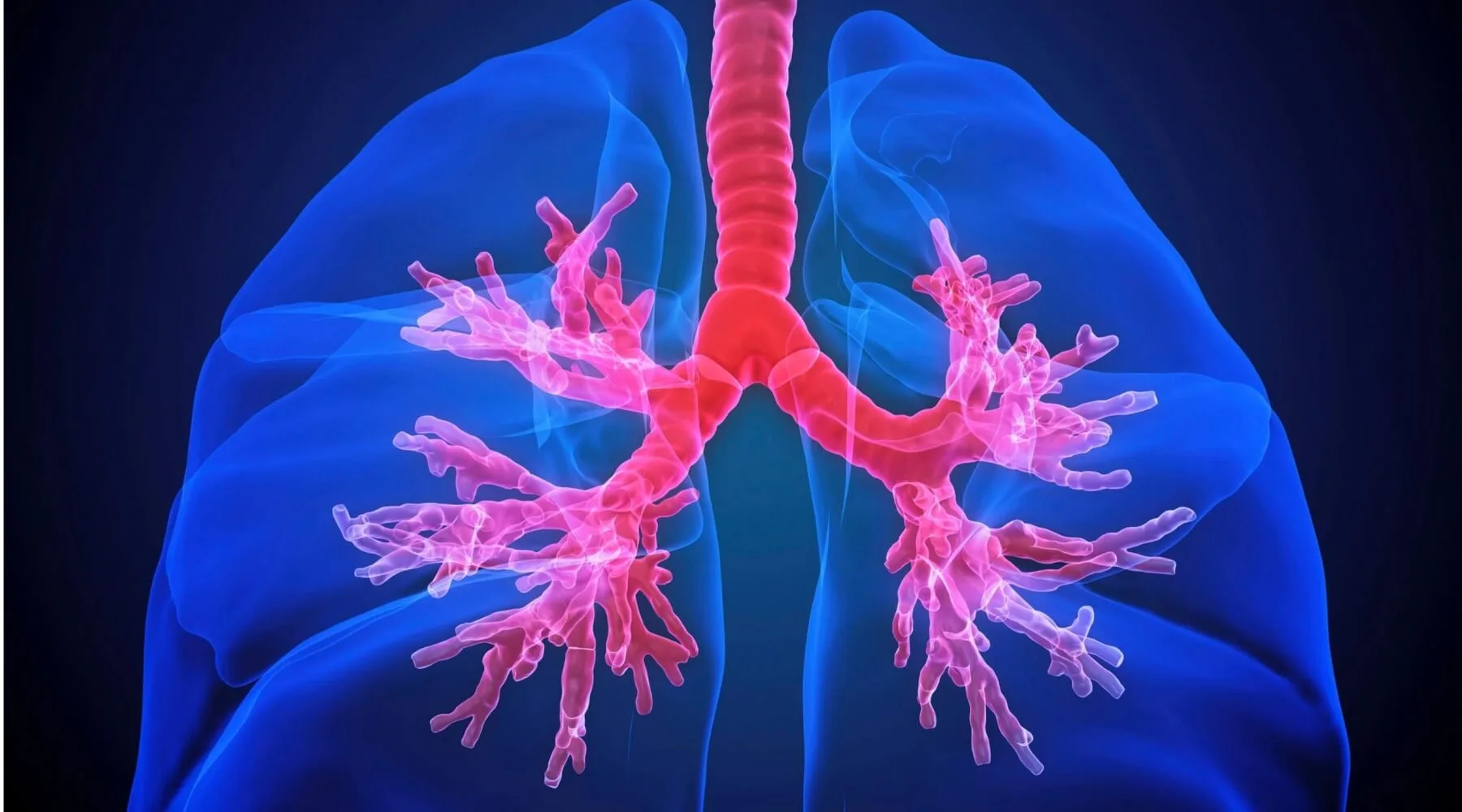 Infrared Sauna and Cancer Is there a Connection? Clearlight® Saunas