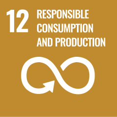 UNDP SDG number 12