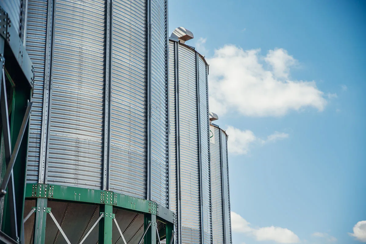 An Overview of Rice Production in Rice Mills Arkansas River Rice in