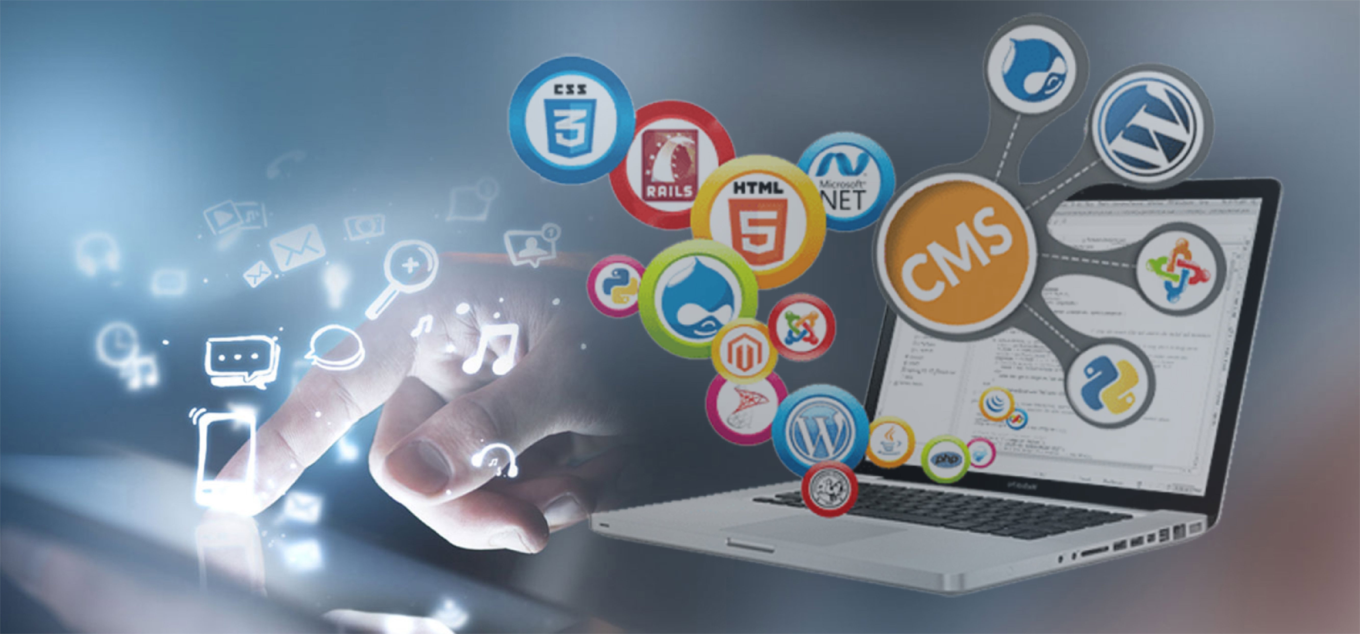 CMS Web Development