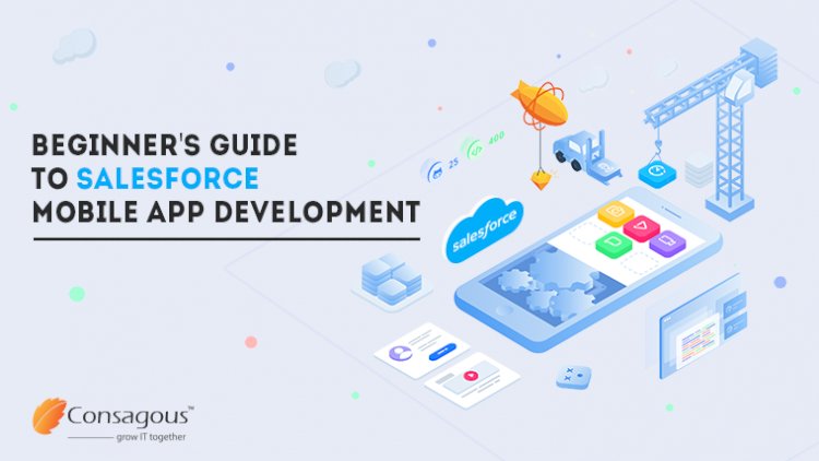 Salesforce Mobile Application Development A Beginner S Guide Consagous
