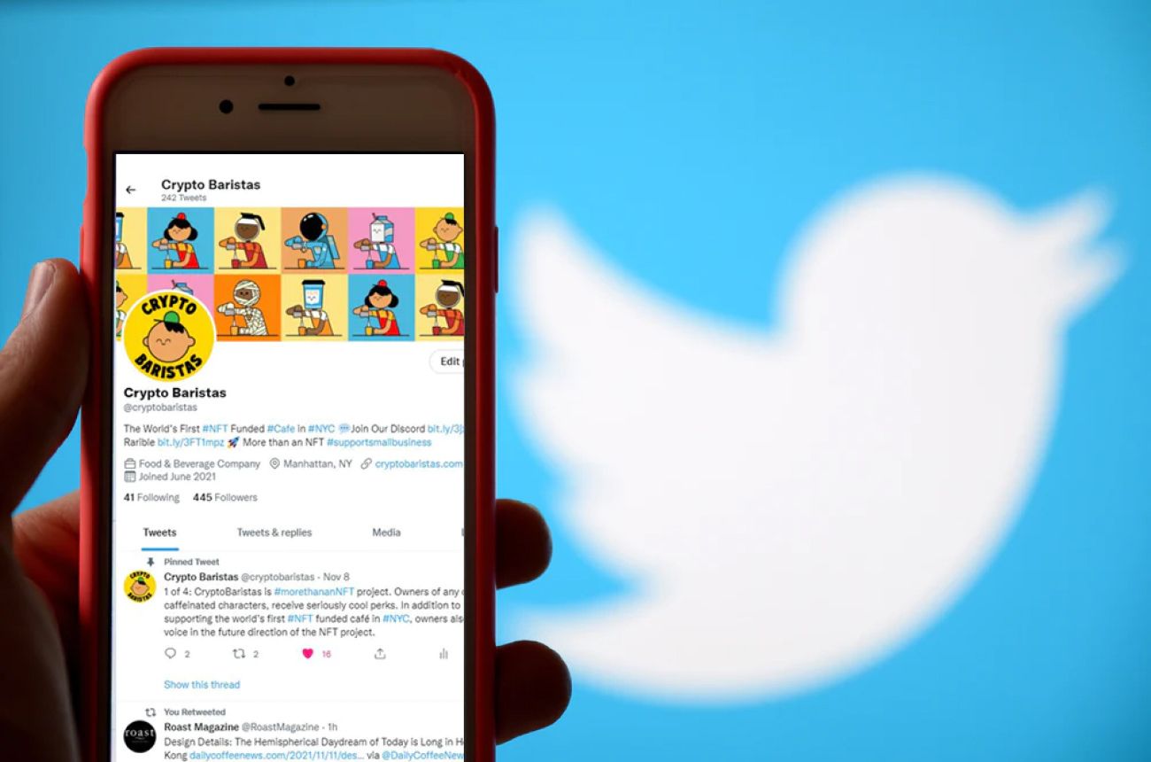 Where to Buy NFT Twitter Accounts SocialPlug answers