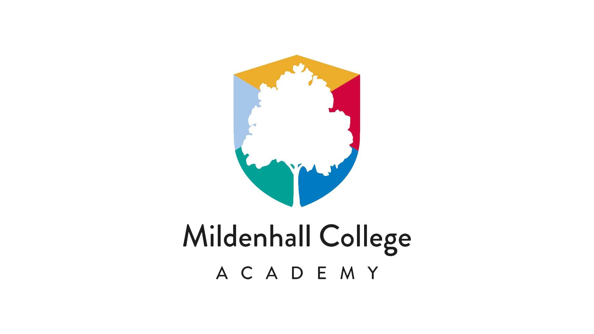 Case Studies Rapid IT