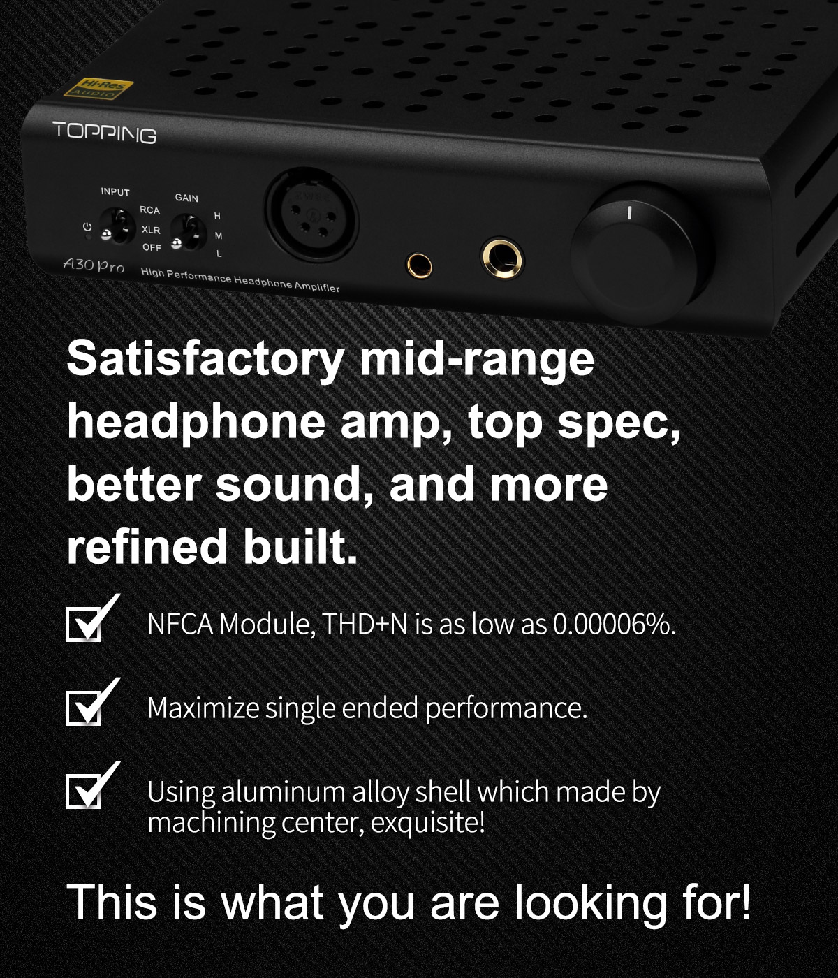 A30 pro - TOPPING