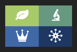 AYTM Membership Plans (dark border)
