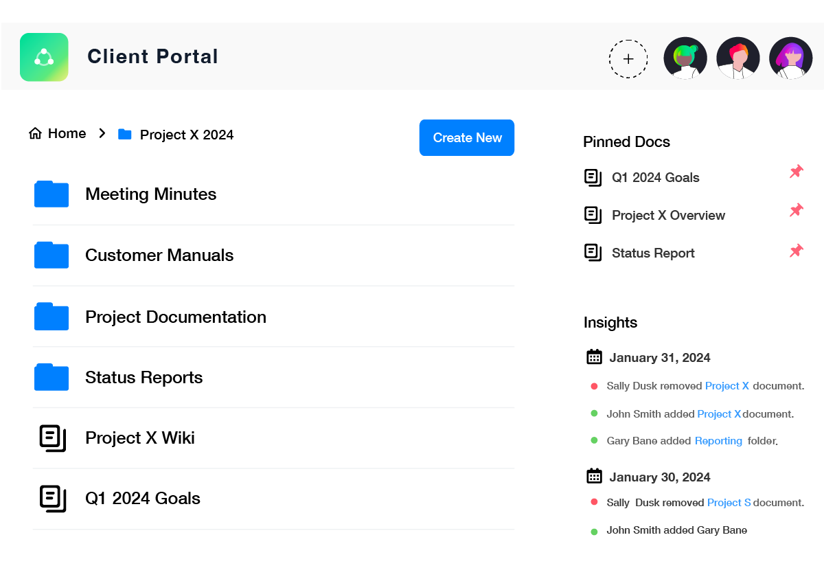 Client Portals & Data Rooms