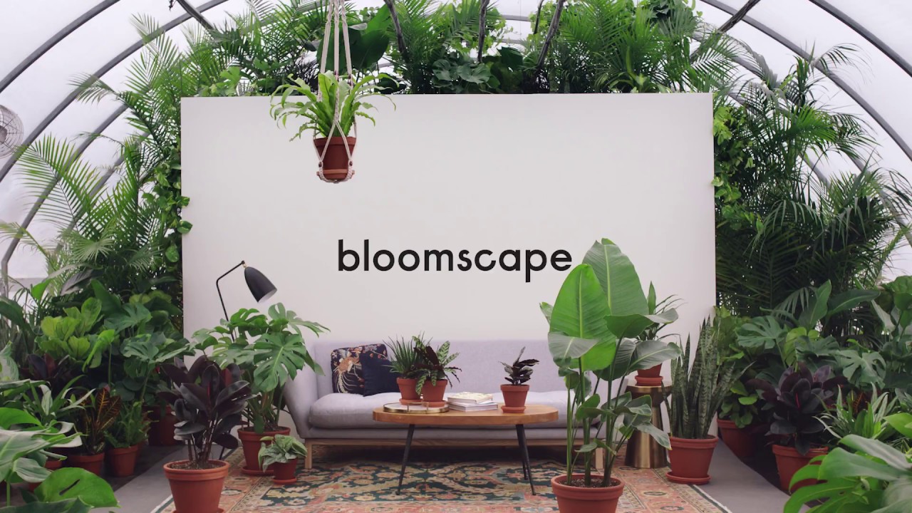 How Startup Bloomscape Used Influencers to Cultivate Organic Instagram