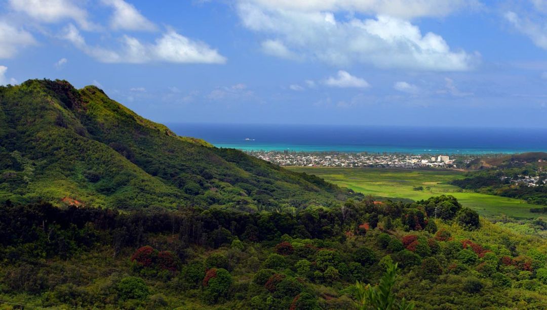 HOA Property Management Company Associa Hawaii