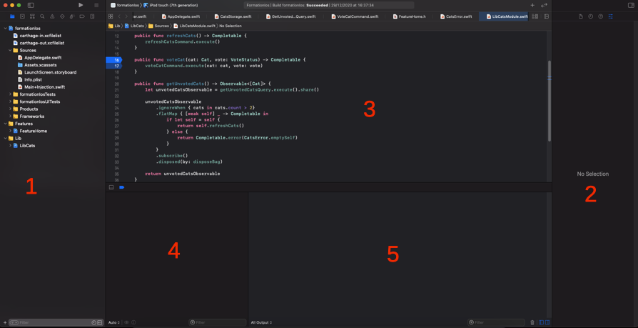Xcode with everything opened