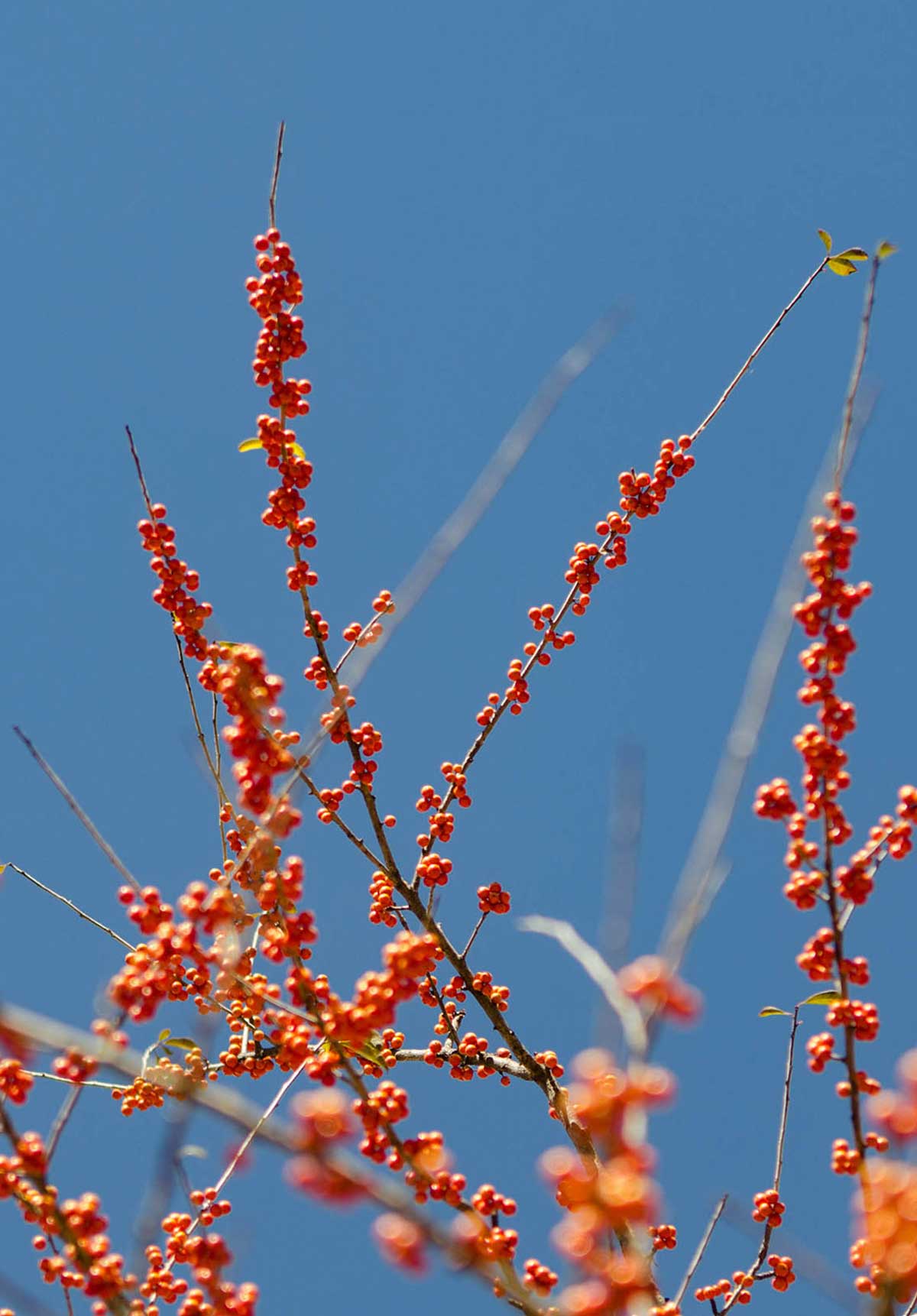 Harbor Health How it Works Your Dedicated Health Team