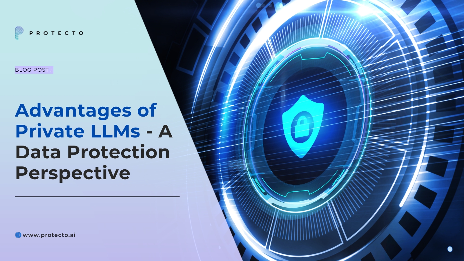 Advantages of Private LLMs - A Data Protection Perspective