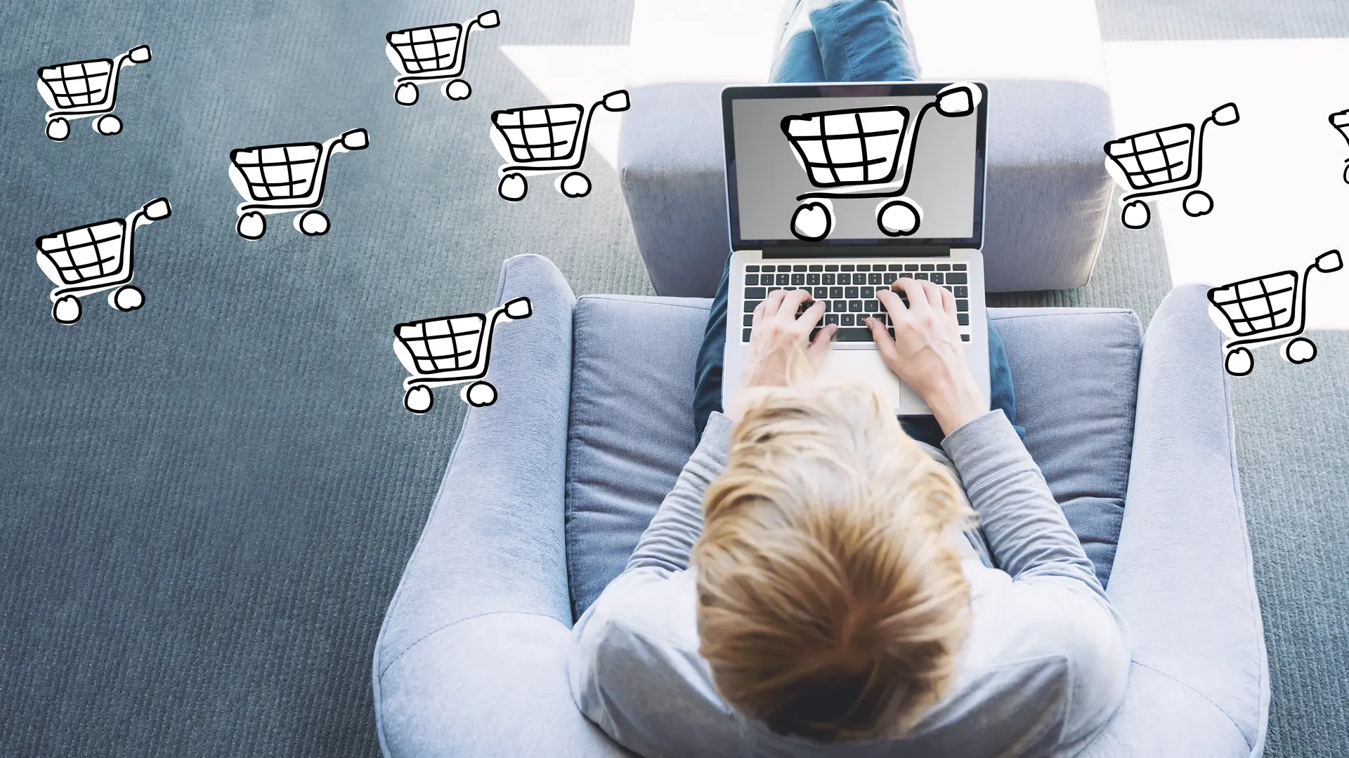 Online retail shopping with shopping carts