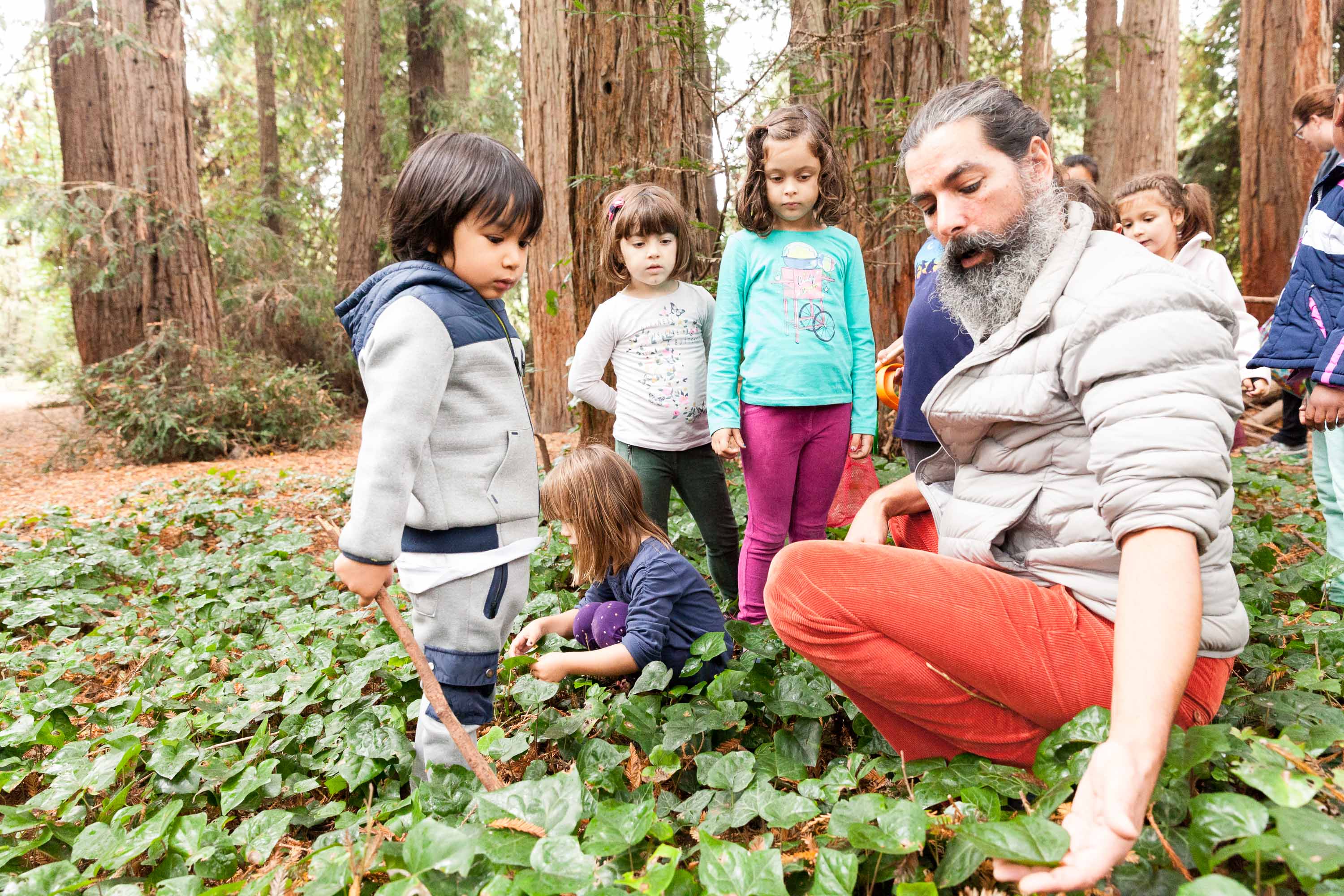 Success Stories from a Forest School The Rise of an Impactful Child