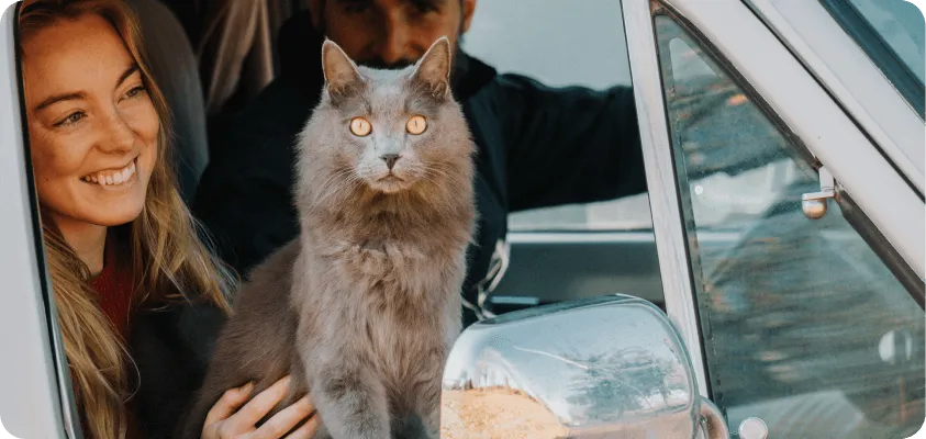 girl holding a cat in a car