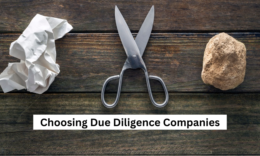CS Business Screen How to Choose Among Due Diligence Companies