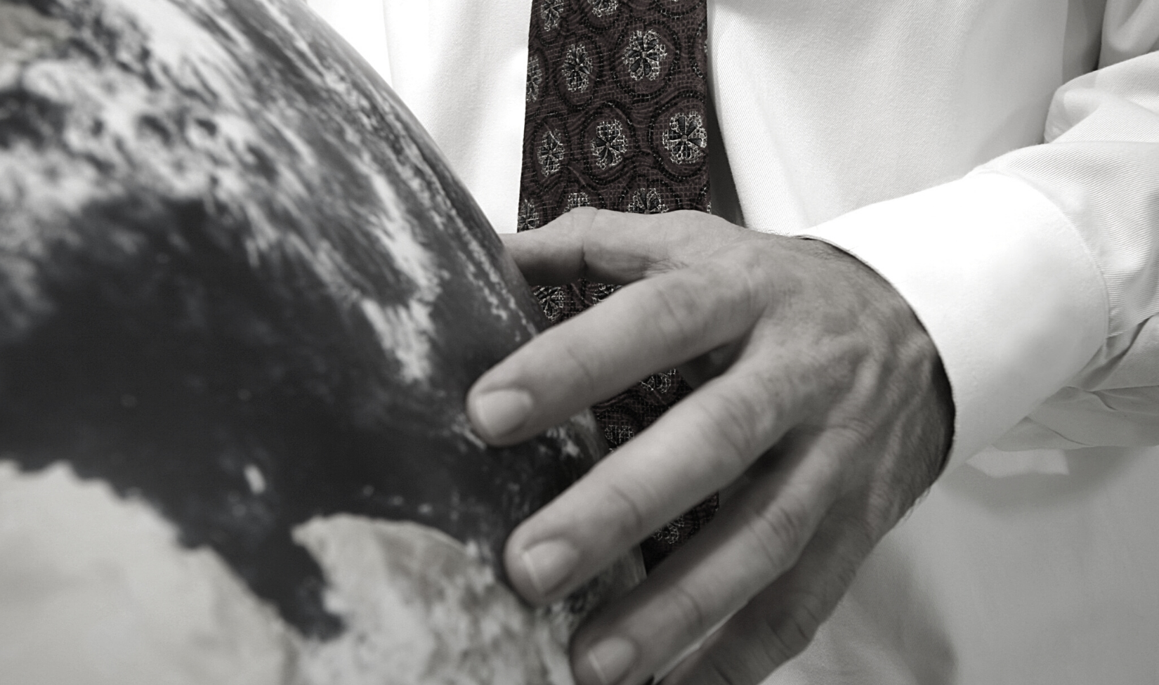 About Luce A designer lighting and development company with