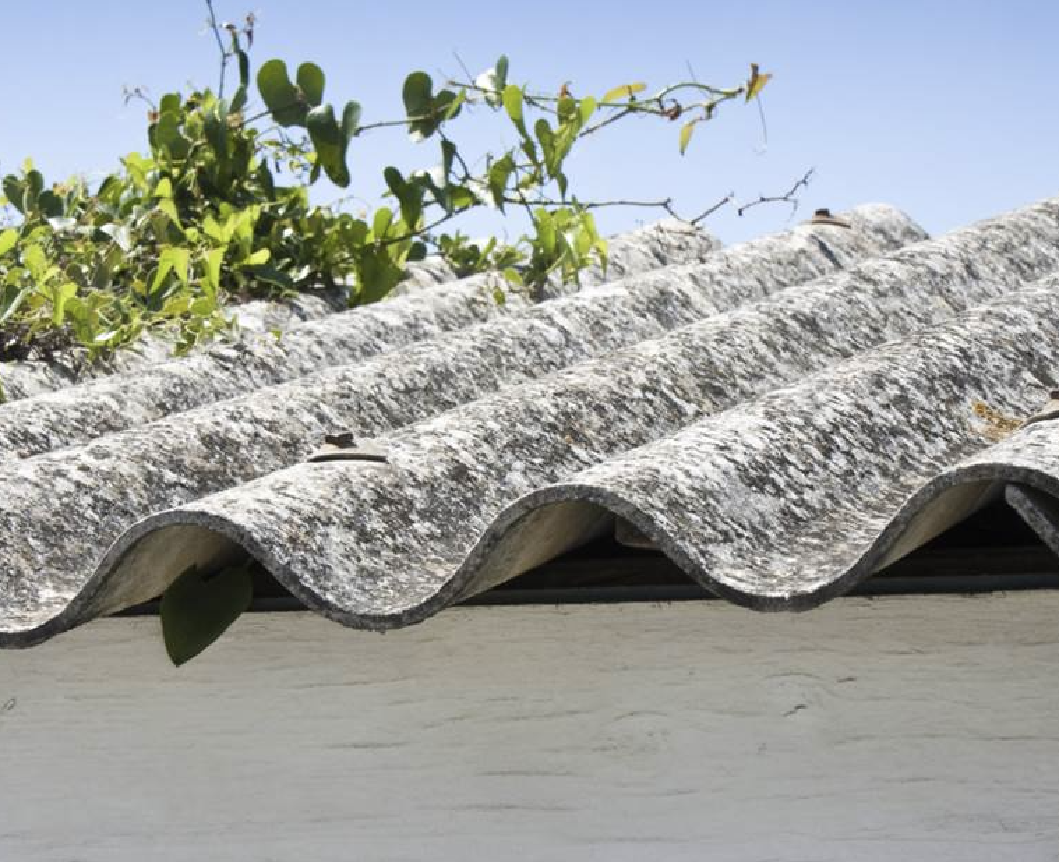 Afbeelding zonder ALT