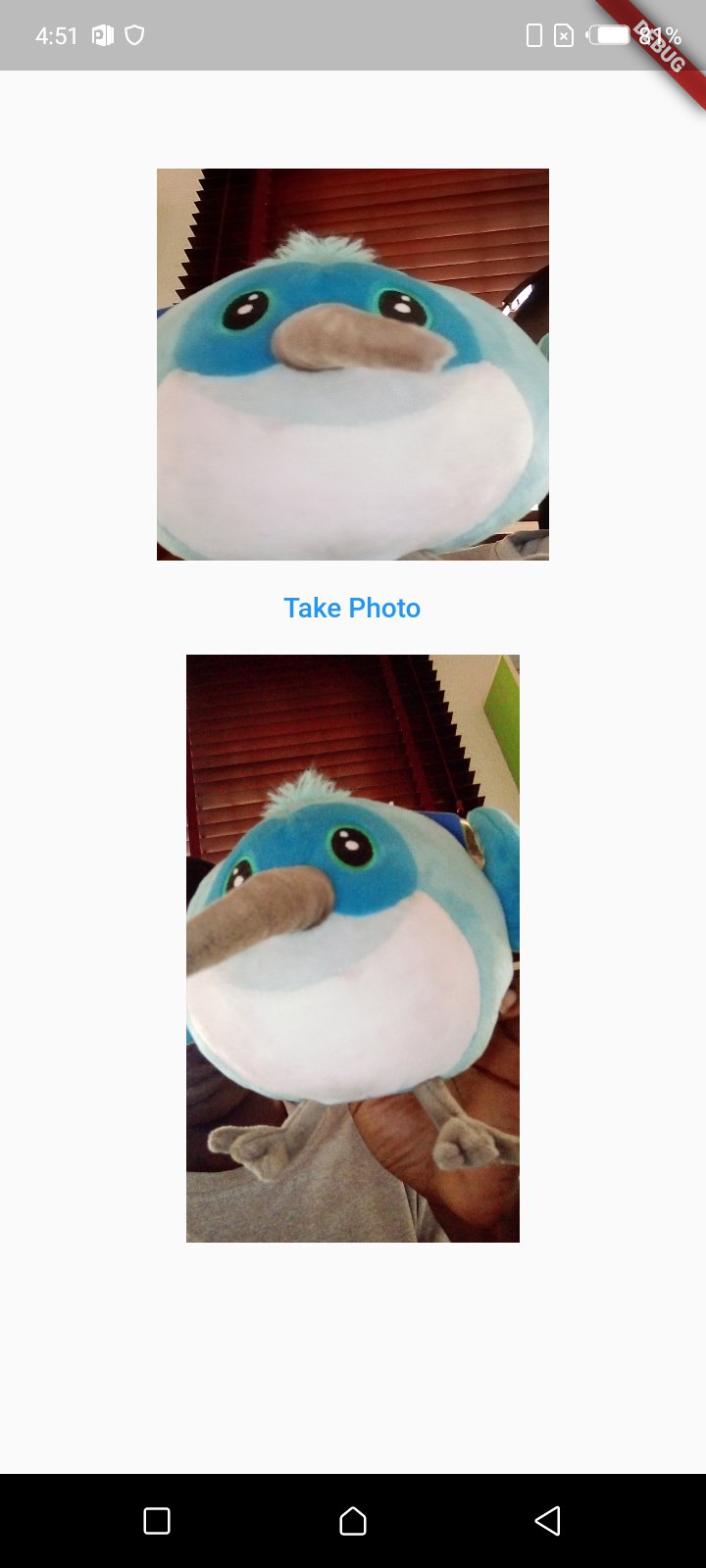 Using the Camera in Flutter: A Step by Step Guide | Waldo Blog
