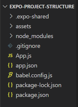 expo project structure