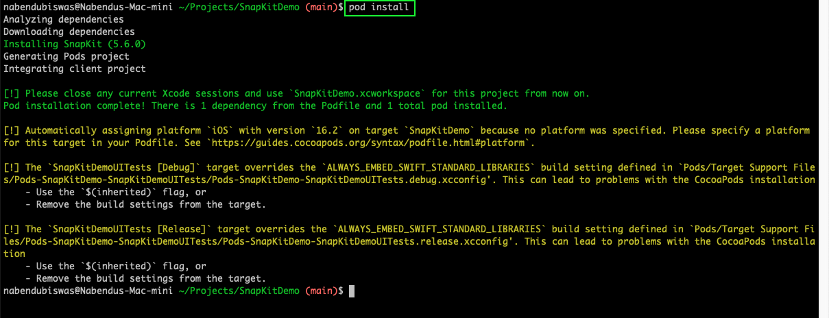 Now, run the pod install command from the terminal. 