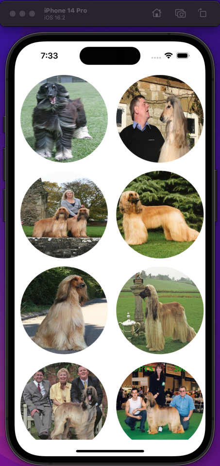 Image shows 2 columns of 4 images each, each containing an image of a dog. Some images also have people.