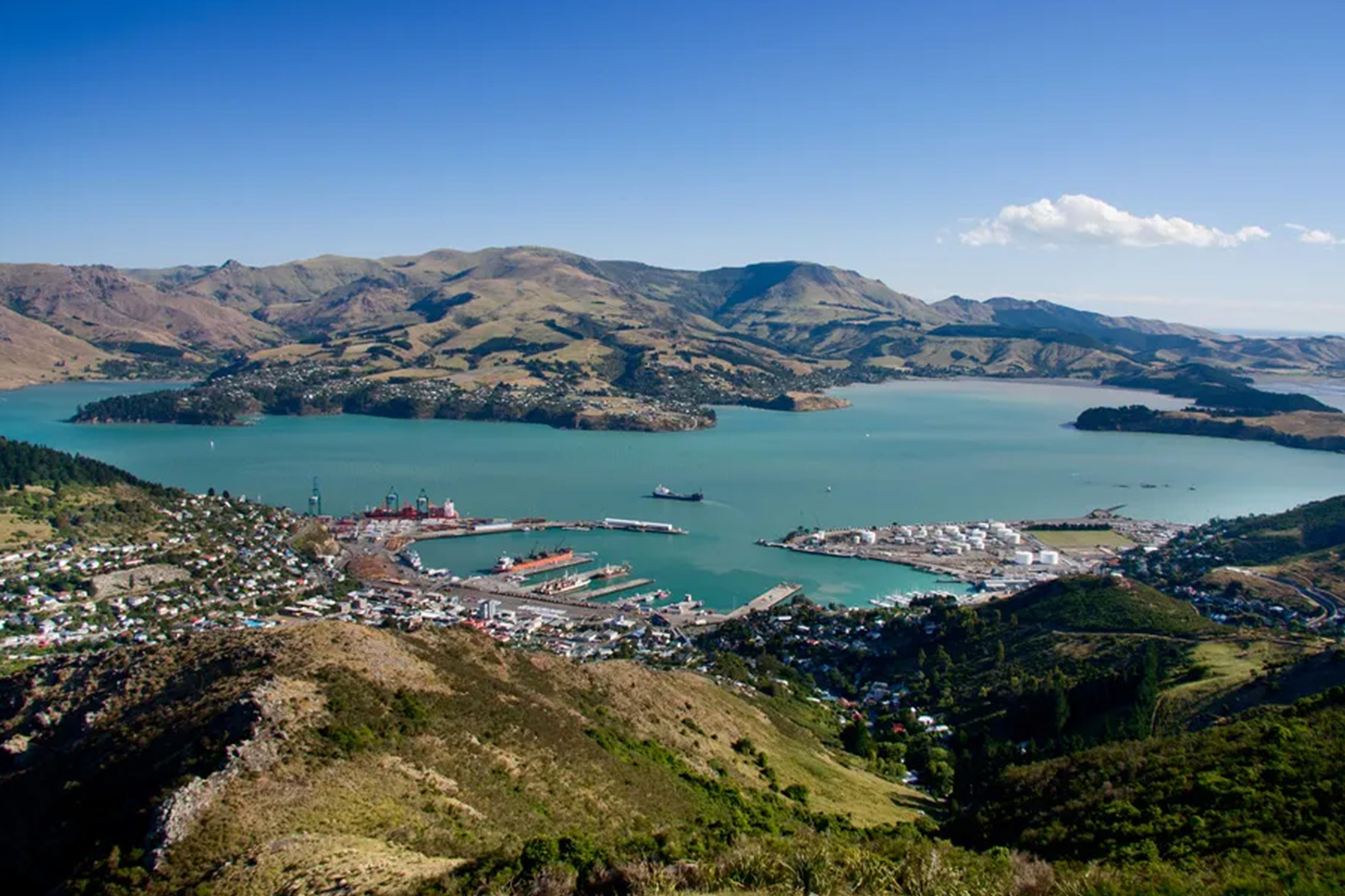 Новая зеландия форум. Знаменитости новой зеландии. Новая зеландия население. Окленд новая зеландия улицы. Окленд калифорния.