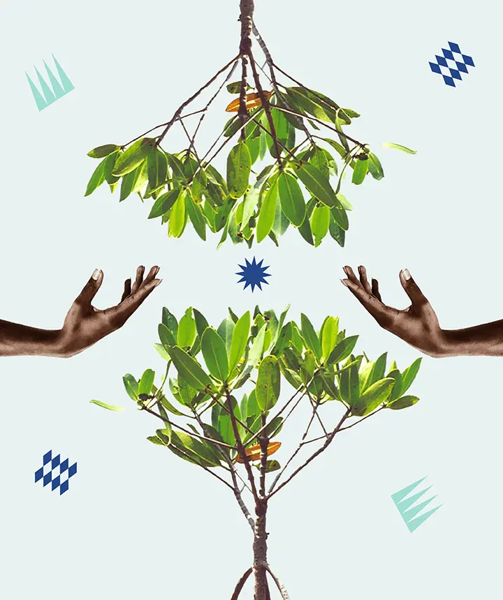 Abstract collage of nature images