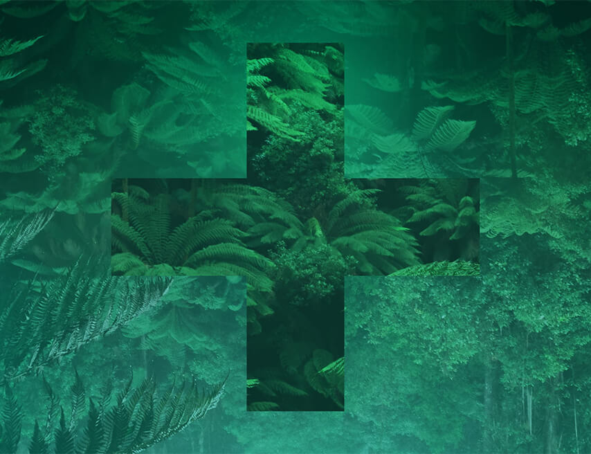 Green leaves with a plus sign over them