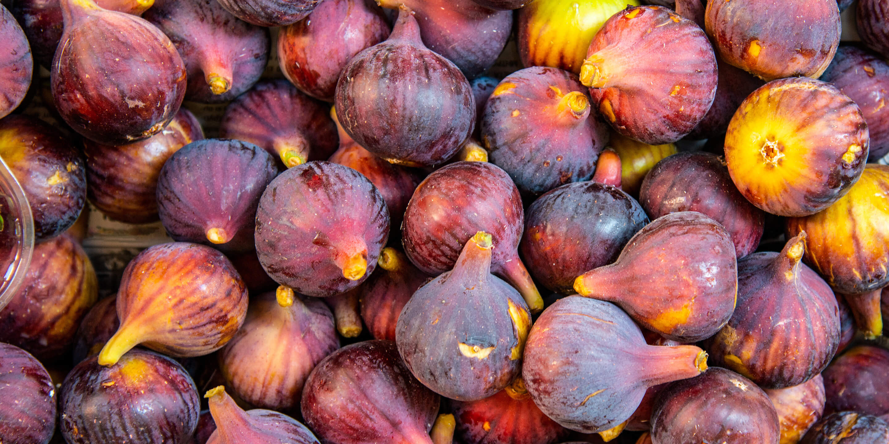 Figs at Hazel Technologies