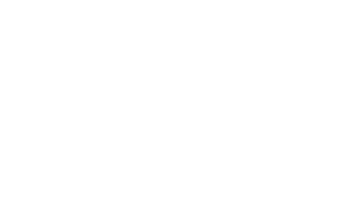 Flex