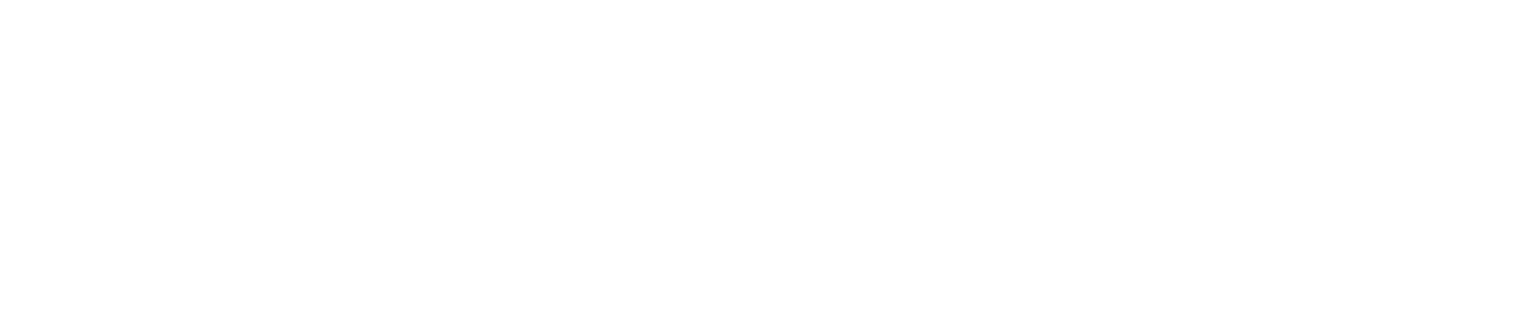 Meshcapade