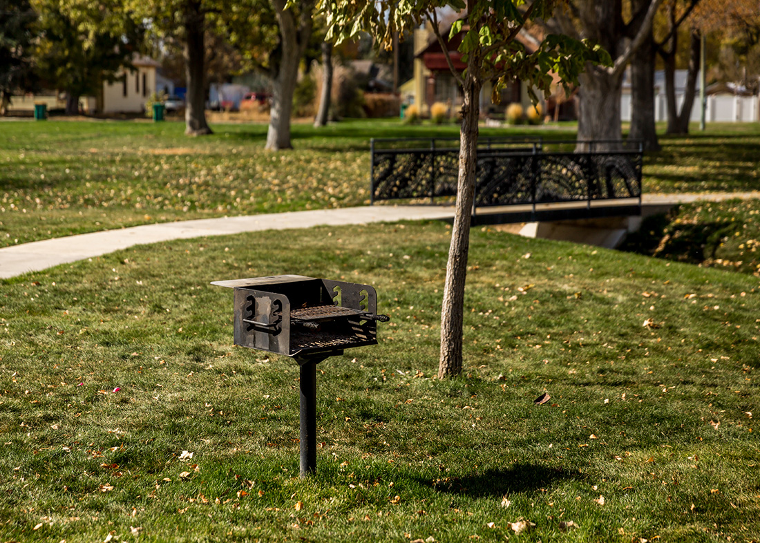 Picnic Grills Zoom Recreation